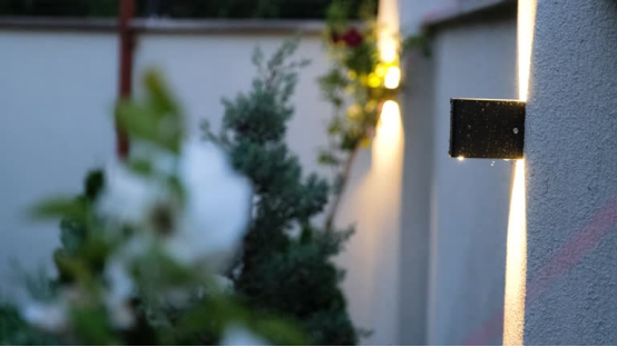 A modern outdoor wall light casts a warm glow on surrounding greenery, illustrating the harmonious blend of light and plant life.